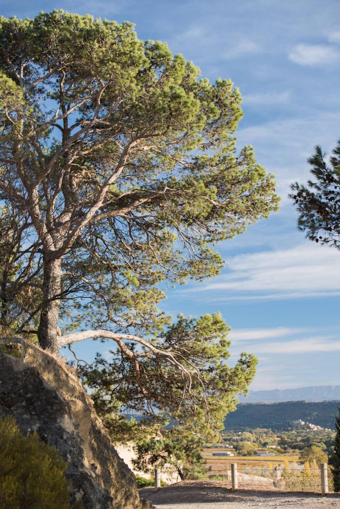 Charmante Maison De Village Au Coeur Du Luberon Cucuron Zewnętrze zdjęcie